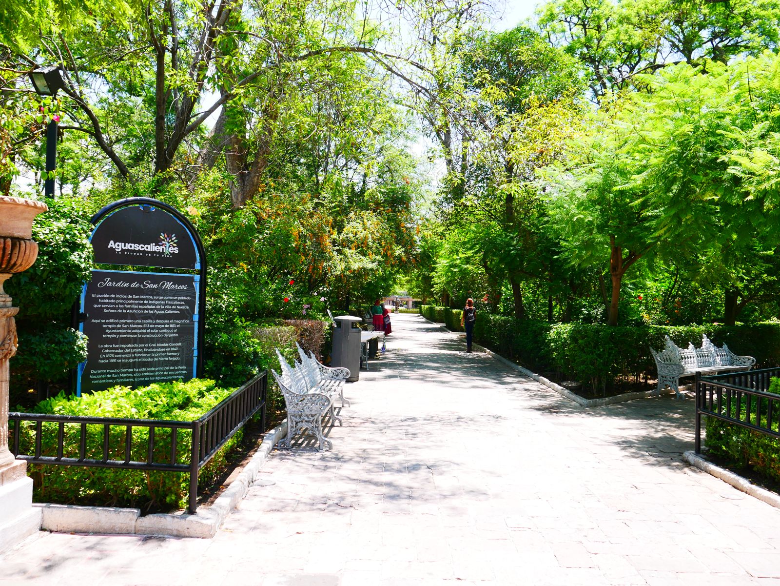 Central path of Jardín de San Marcos